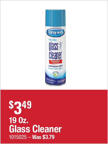19 Oz. Glass Cleaner